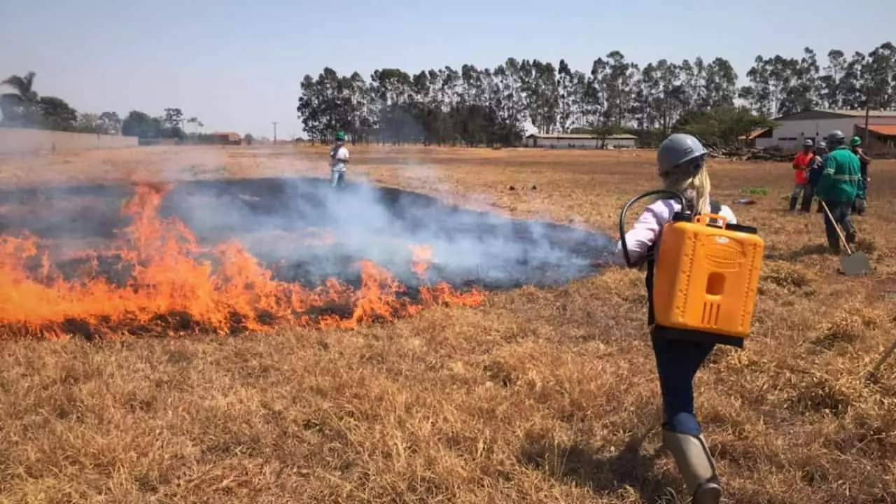 Boas práticas agrícolas, cursos e respeito à legislação ajudam na preservação ambiental.