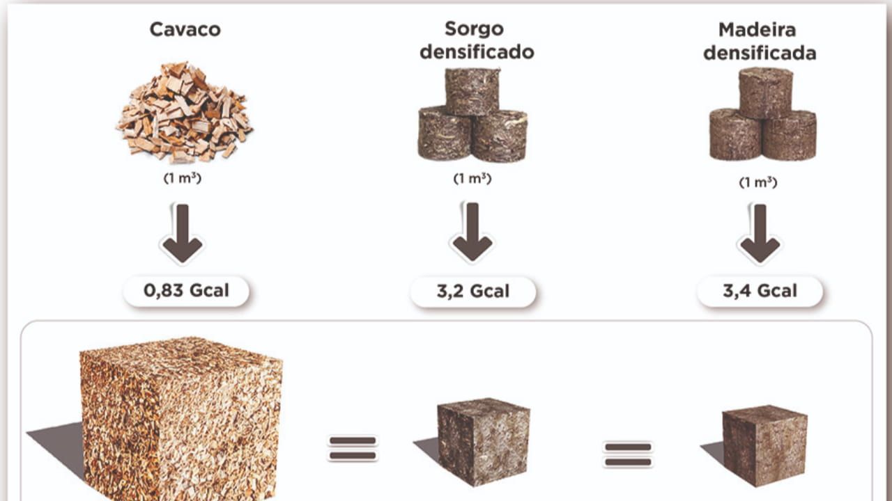 Compactação dessa biomassa em briquetes ou pellets, facilita logística, armazenagem e automação.