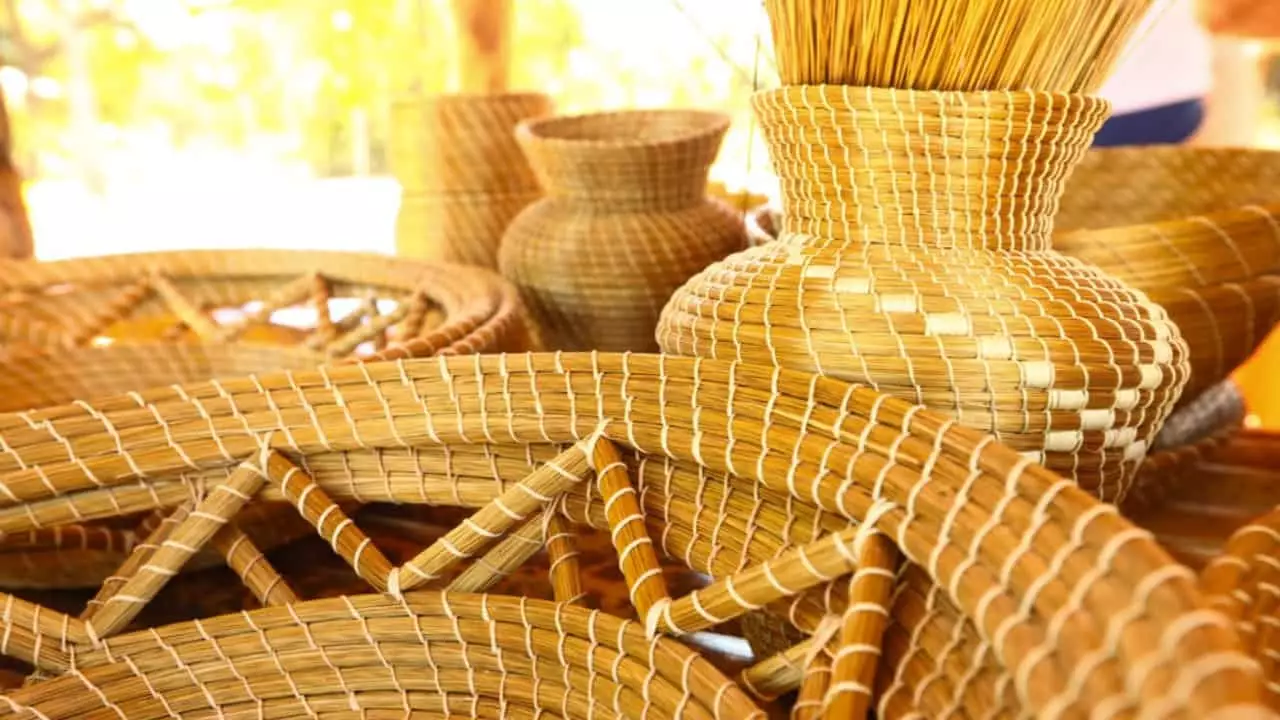 Mateiros no Tocantins recebe título de Capital Nacional do Capim Dourado 3 Cor dourada e brilho natural garantem fama às peças artesanais.