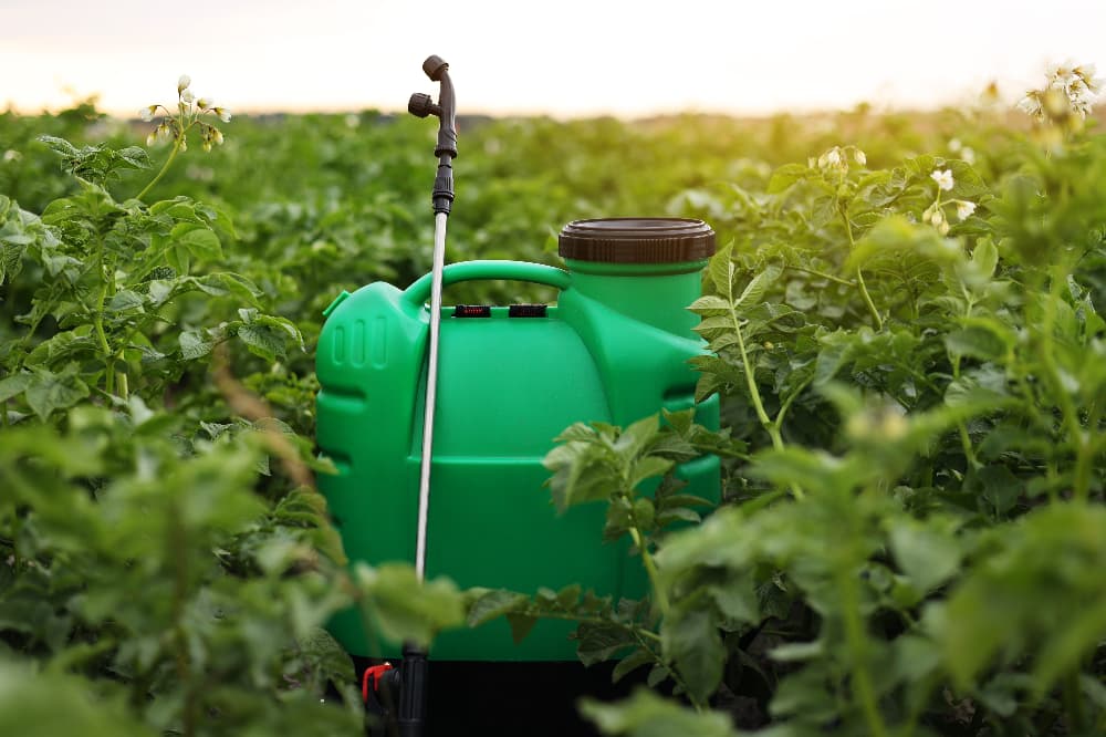 Mais de 20 defensivos agrícolas são aprovados para fortalecer o manejo no campo