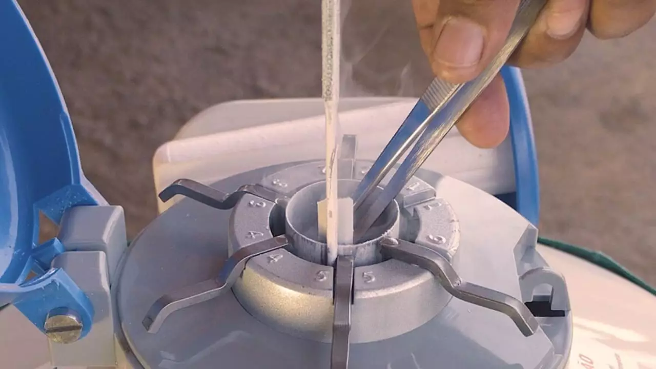 Inseminação artificial alcança 23% das matrizes de bovinos de corte no Brasil 3 Ferramentra tem menor custo e traz maior produtividade do rebanho.