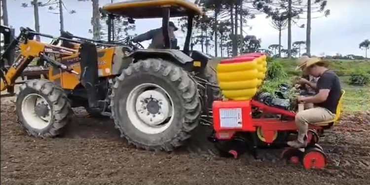 Cadeia produtiva desenvolve máquina de plantio de mudas de pastagens