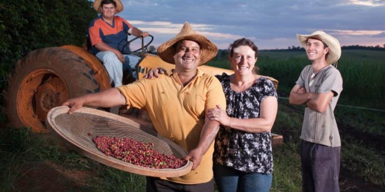 Programa investe em pesquisas para produção de alimentos na agricultura familiar