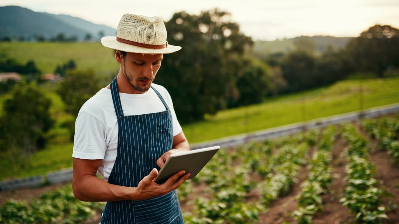 População rural mesmo diante dos desafios do agro, paga seus compromissos. 