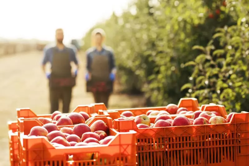 Curso online e gratuito orienta produtores na produção integrada; confira 3 Produção