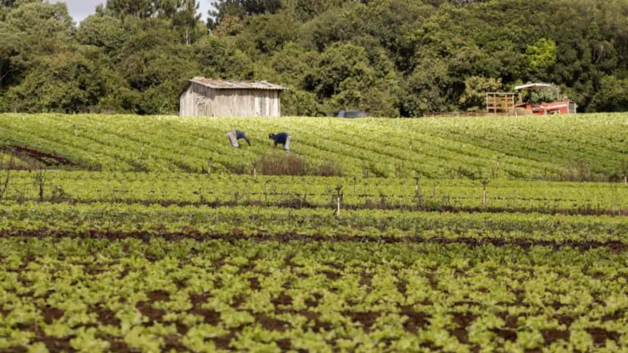 Produtos são biológicos para agricultura.