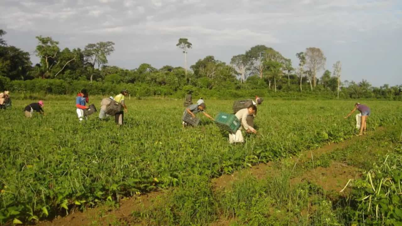 Programa focará nos pequenos produtores.