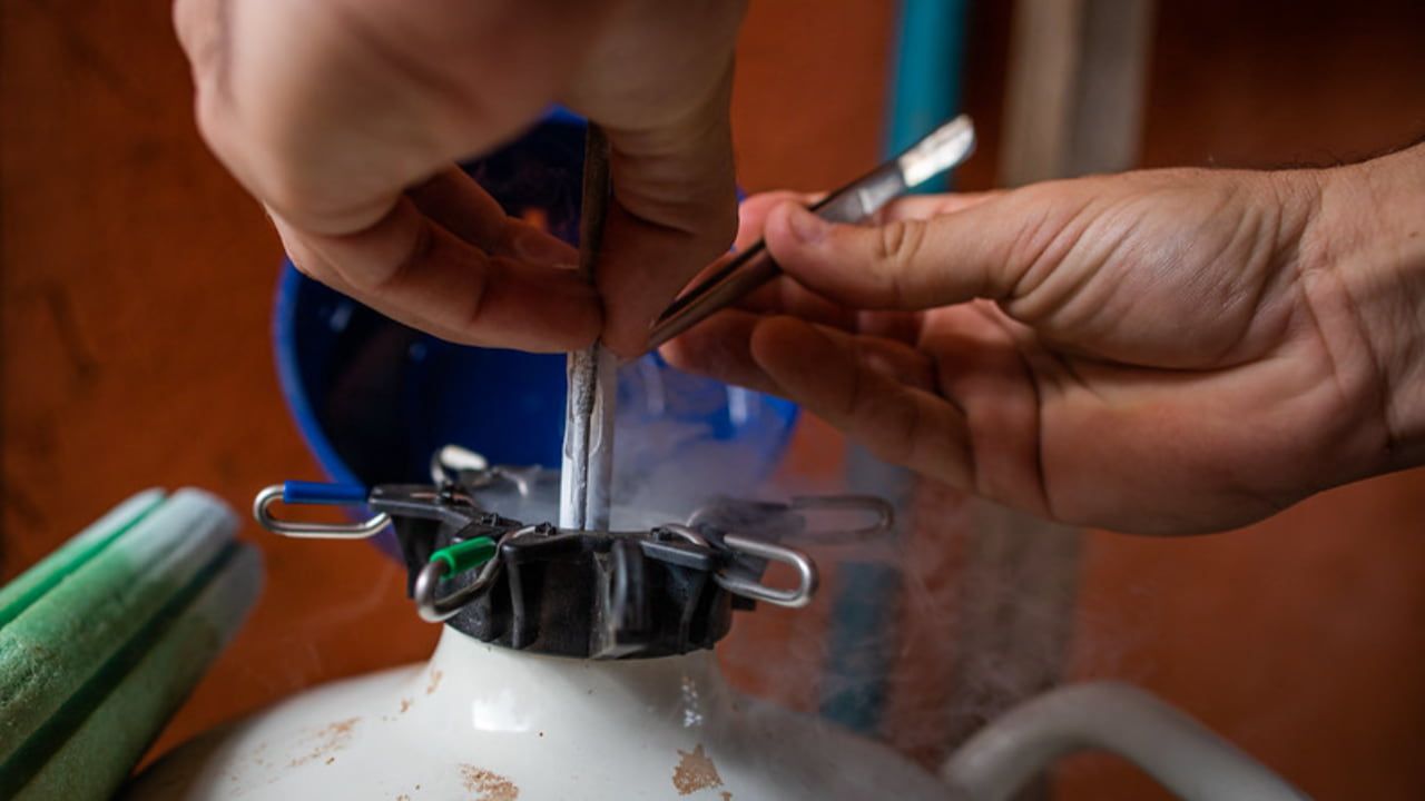 Projeto atende atividades da bovinocultura de leite e corte. 