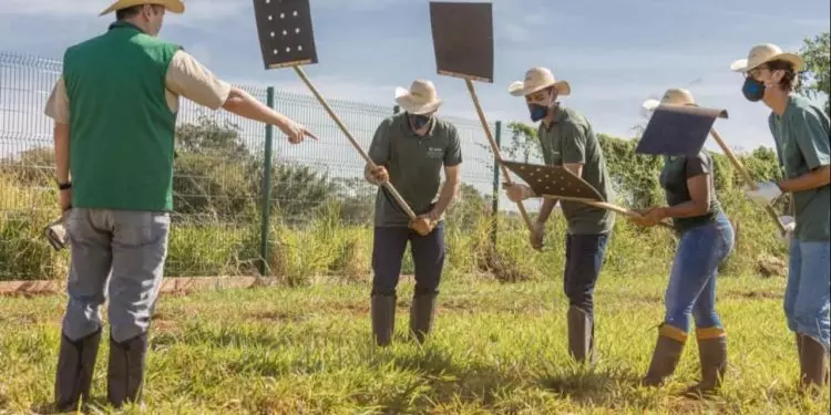 Áreas produtivas regularizadas têm menor incidência de focos de incêndio