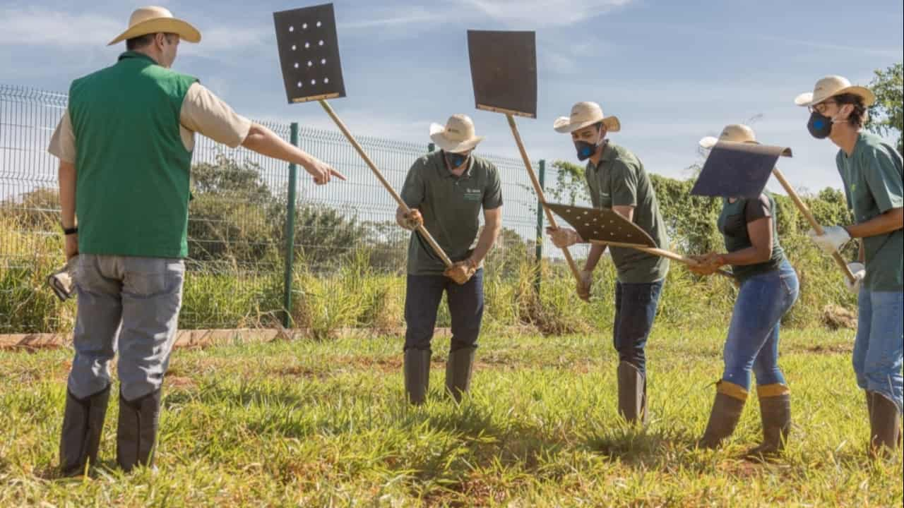 Áreas produtivas regularizadas têm menor incidência de focos de incêndio