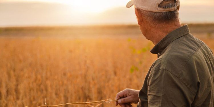 Inadimplência atinge apenas 7,4% da população rural do Brasil, diz pesquisa