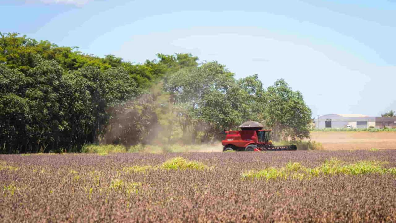 Serviços incluem facilidade de acesso a crédito e verificação socioambiental. 