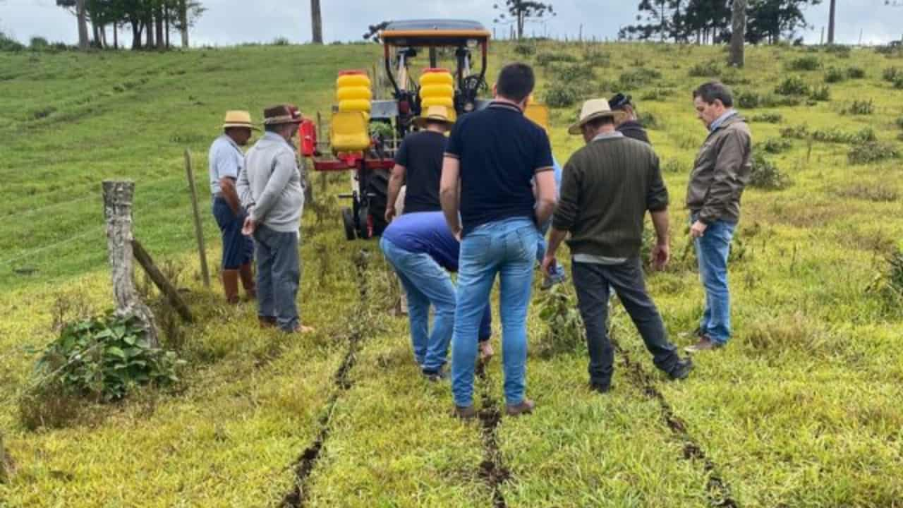 Tecnologia acelera processo de plantio de mudas de pastagens. 