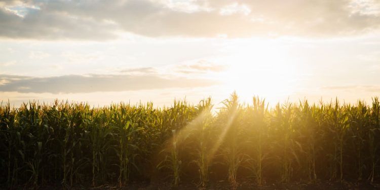 Verão será de chuvas intensas e altas temperaturas pelo Brasil; veja previsão