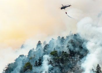 Brasil registra 1 milhão de focos de queimada em 5 anos; veja dados