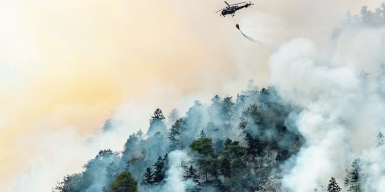 Brasil registra 1 milhão de focos de queimada em 5 anos; veja dados