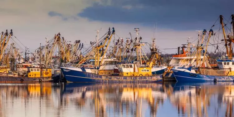 Embarcações podem se inscrever para autorização de pesca de tainha em 2025 1 Embarcações podem se inscrever para autorização de pesca de tainha em 2025