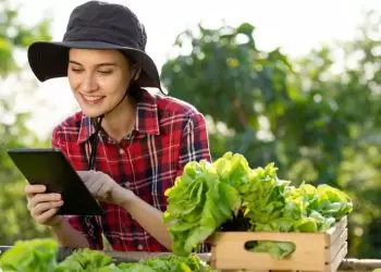 Embrapa lança novas tecnologias para o mercado de agricultura digital; confira