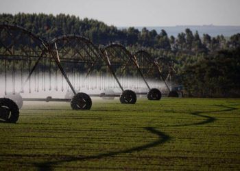 Goiás lança programa de soluções para reaproveitamento da água; veja como participar