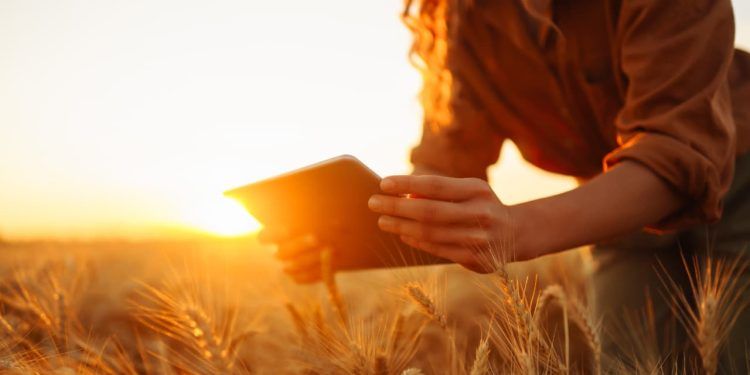 Livro de Agricultura de Precisão recebe consultas de 7 países