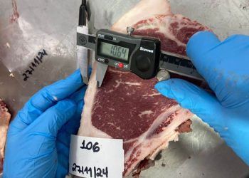 Pesquisa emprega tecnologia de ponta para analisar a impressão digital da carne gaúcha