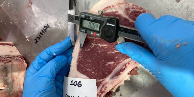 Pesquisa emprega tecnologia de ponta para analisar a impressão digital da carne gaúcha