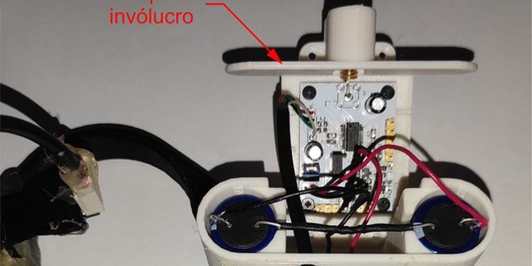 Tecnologia inovadora permite monitoramento remoto da temperatura corporal de bovinos