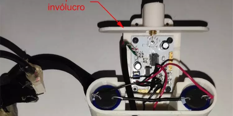 Tecnologia inovadora permite monitoramento remoto da temperatura corporal de bovinos