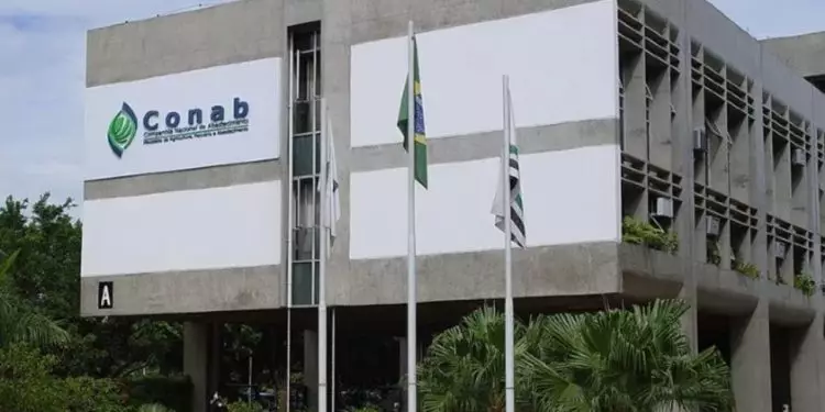 Conab anuncia concurso com mais de 400 vagas; salários de até R$ 8,1 mil 1 Conab anuncia concurso com mais de 400 vagas; salários de até R$ 8,1 mil