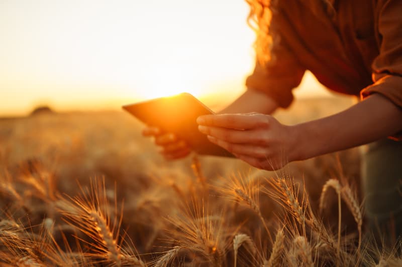 Cursos no agronegócio