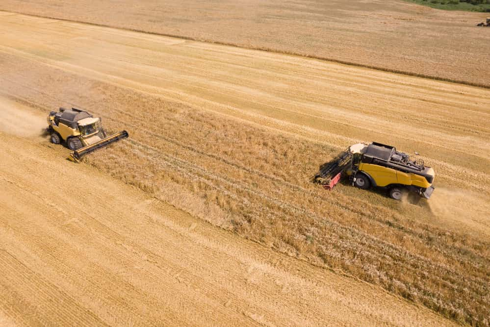 empresas do agro