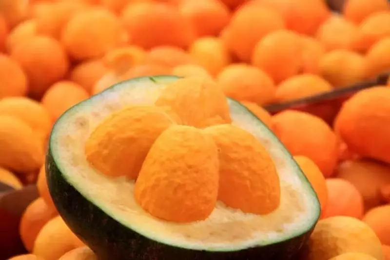 Sancionado projeto de lei que estimula produção de frutos do Cerrado; veja medidas 2 Frutos do Cerrado