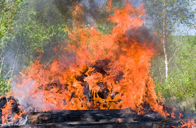 Incêndios florestais