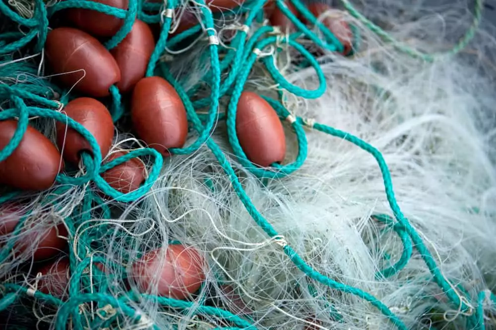 Embarcações podem se inscrever para autorização de pesca de tainha em 2025 3 Rede de pesca