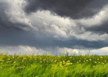 Semana deve ser marcada por tempestades em diversas partes do Brasil; veja previsão