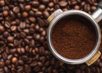 Produção de café cai 1,6% em 2024 e fecha com 54,2 milhões de sacas, aponta Conab