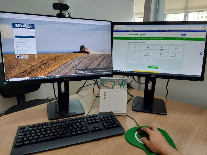 Produtores rurais de Goiás têm até 17 de janeiro para cadastrar lavoura de soja 2 Produtores rurais