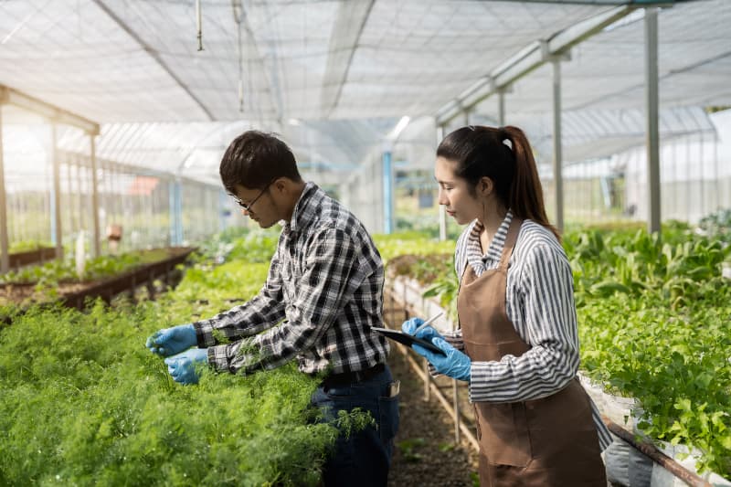 Redes de agricultores