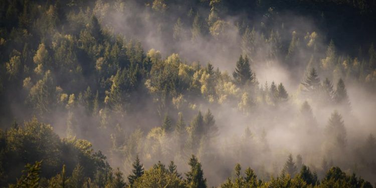 AdaptaCidades projeto apoia estados e municípios na adaptação à mudança climática