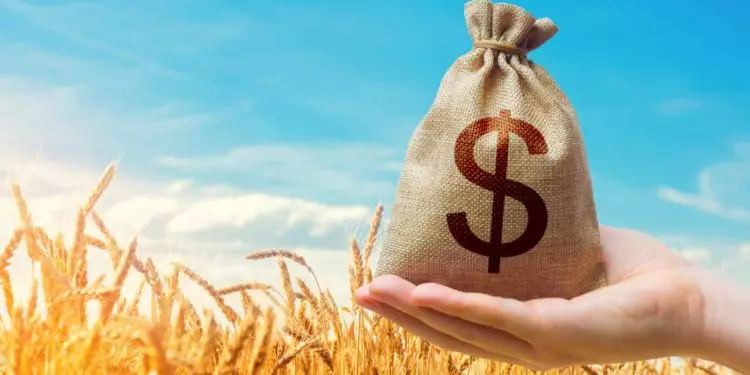 Desenrola Rural: governo lança programa de renegociação de dívidas para produtores rurais 1 Desenrola Rural governo lança programa de renegociação de dívidas para produtores rurais