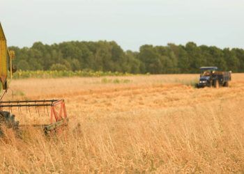 Entidades ao agro estão preocupadas com suspensão do Plano Safra