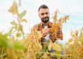 Estiagem e a cultura da soja no Brasil como minimizar os efeitos climáticos