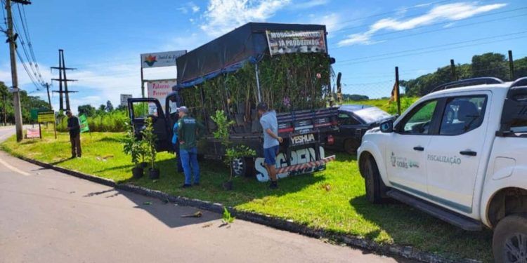 Fiscalização em Goiás apreende toneladas de mudas comercializadas ilegalmente