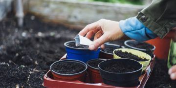 Goiás inicia reformulação de legislação sobre bioinsumos e defensivos agrícolas
