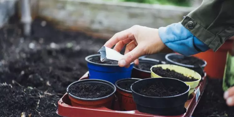 Novo canal amplia denúncias sobre uso irregular de defensivos agrícolas; veja como fazer 1 Goiás inicia reformulação de legislação sobre bioinsumos e defensivos agrícolas