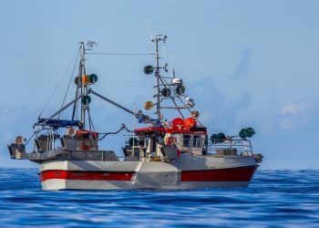 Inscrições abertas para curso requisitos higiênico-sanitários em embarcações pesqueiras