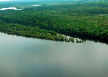 Lançado edital para concessão da Floresta Nacional do Jatuarana, no Amazonas