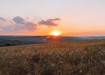 Onda de calor avança pelo Brasil e temperaturas podem atingir 40ºC