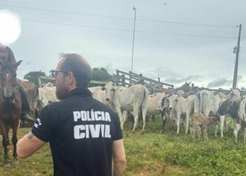 PC cumpre mandados em operação contra furto de gado e crimes ambientais em Goiás