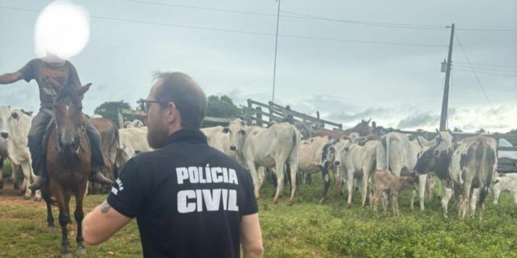 PC cumpre mandados em operação contra furto de gado e crimes ambientais em Goiás